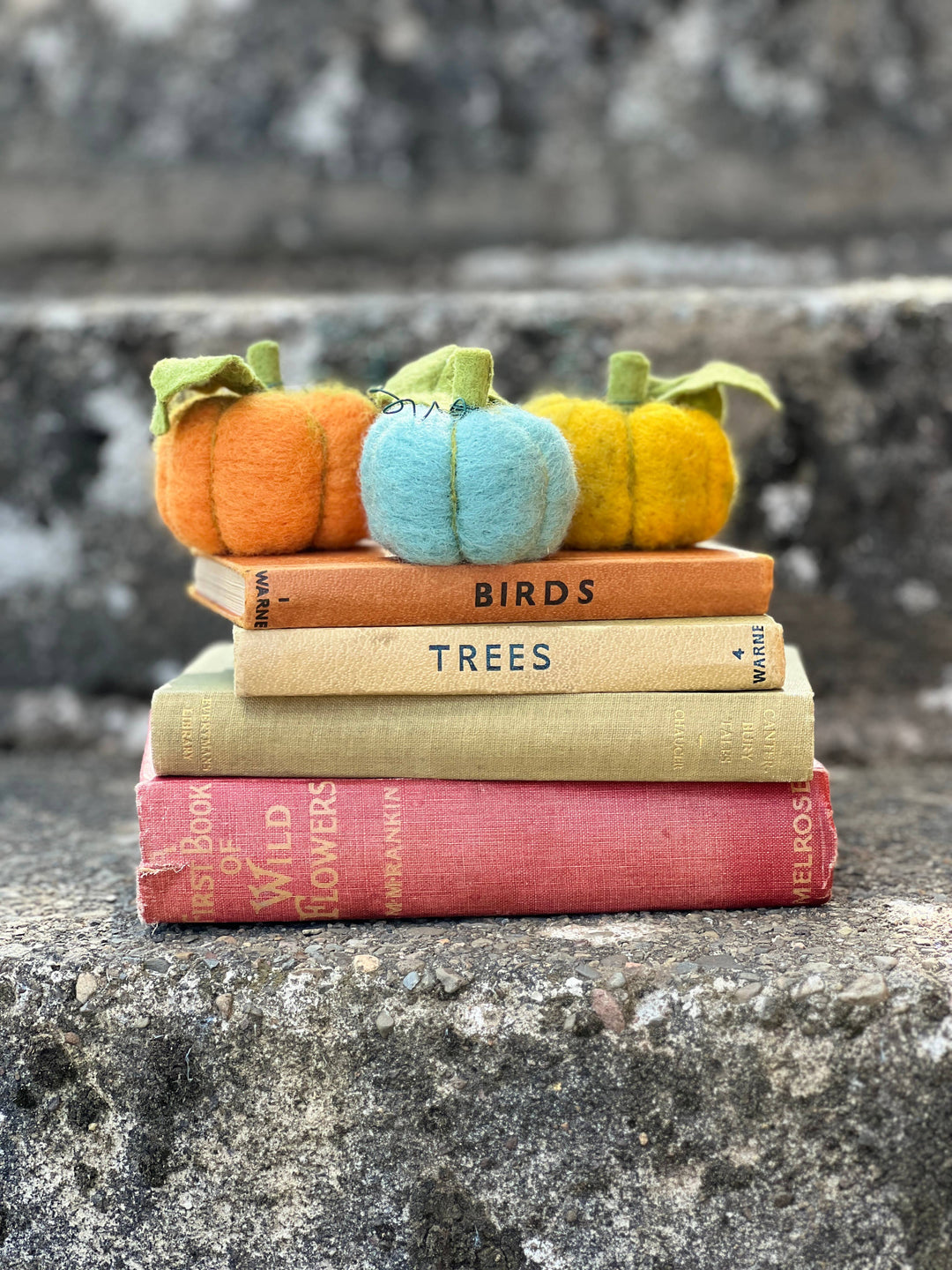 Woolly Pumpkins Needle Felting Craft Kit