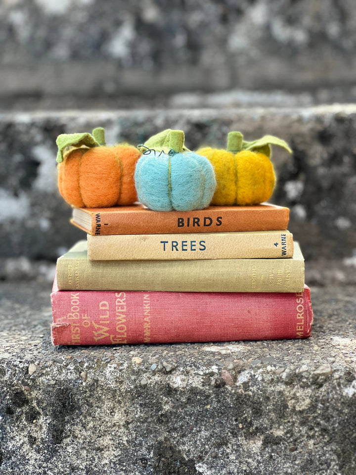 Woolly Pumpkins Needle Felting Craft Kit