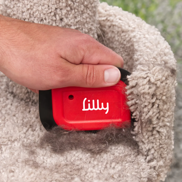 Mini Blade by Lilly Brush