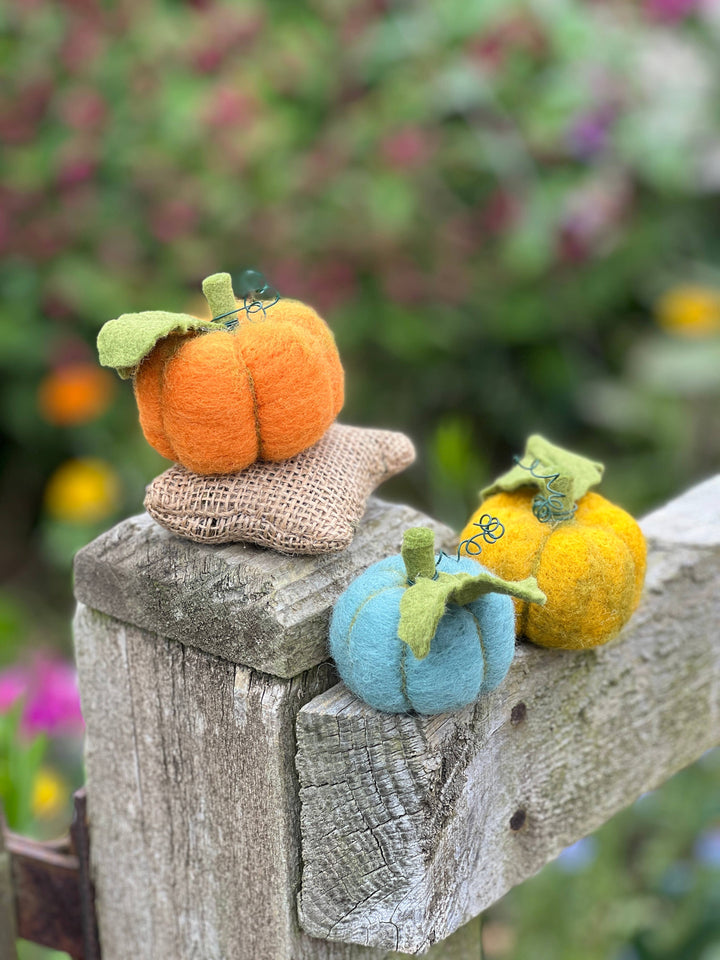 Woolly Pumpkins Needle Felting Craft Kit