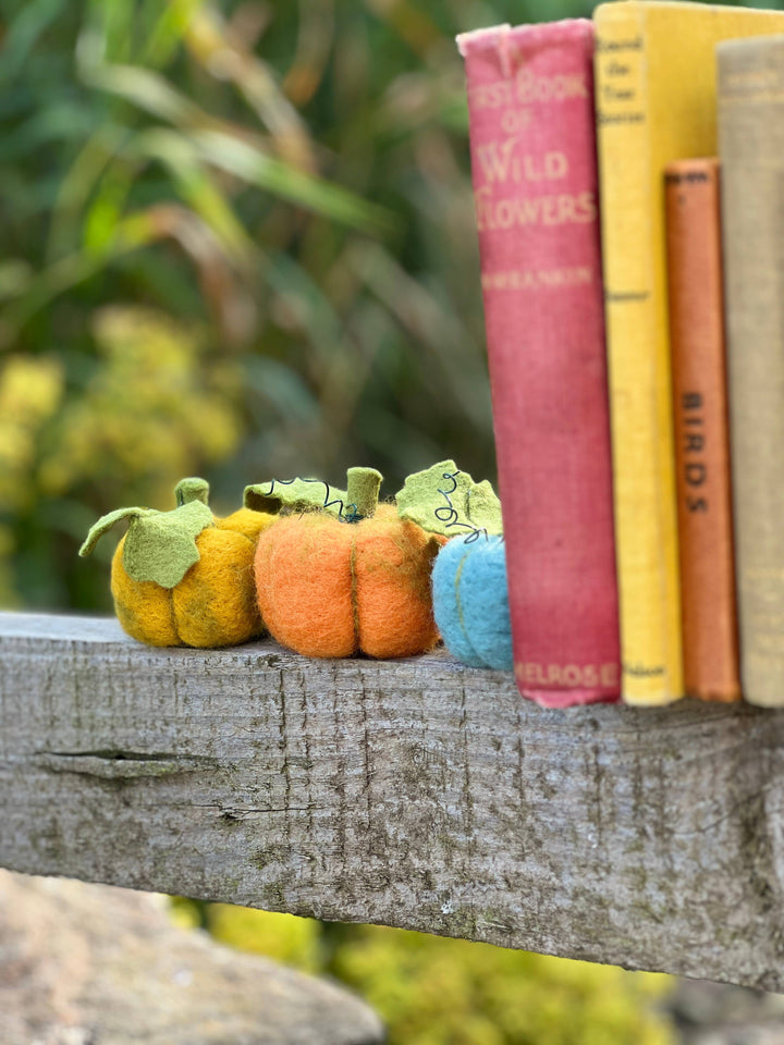 Woolly Pumpkins Needle Felting Craft Kit