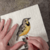 Bear Creek Felting - Felting Kits - Meadowlark