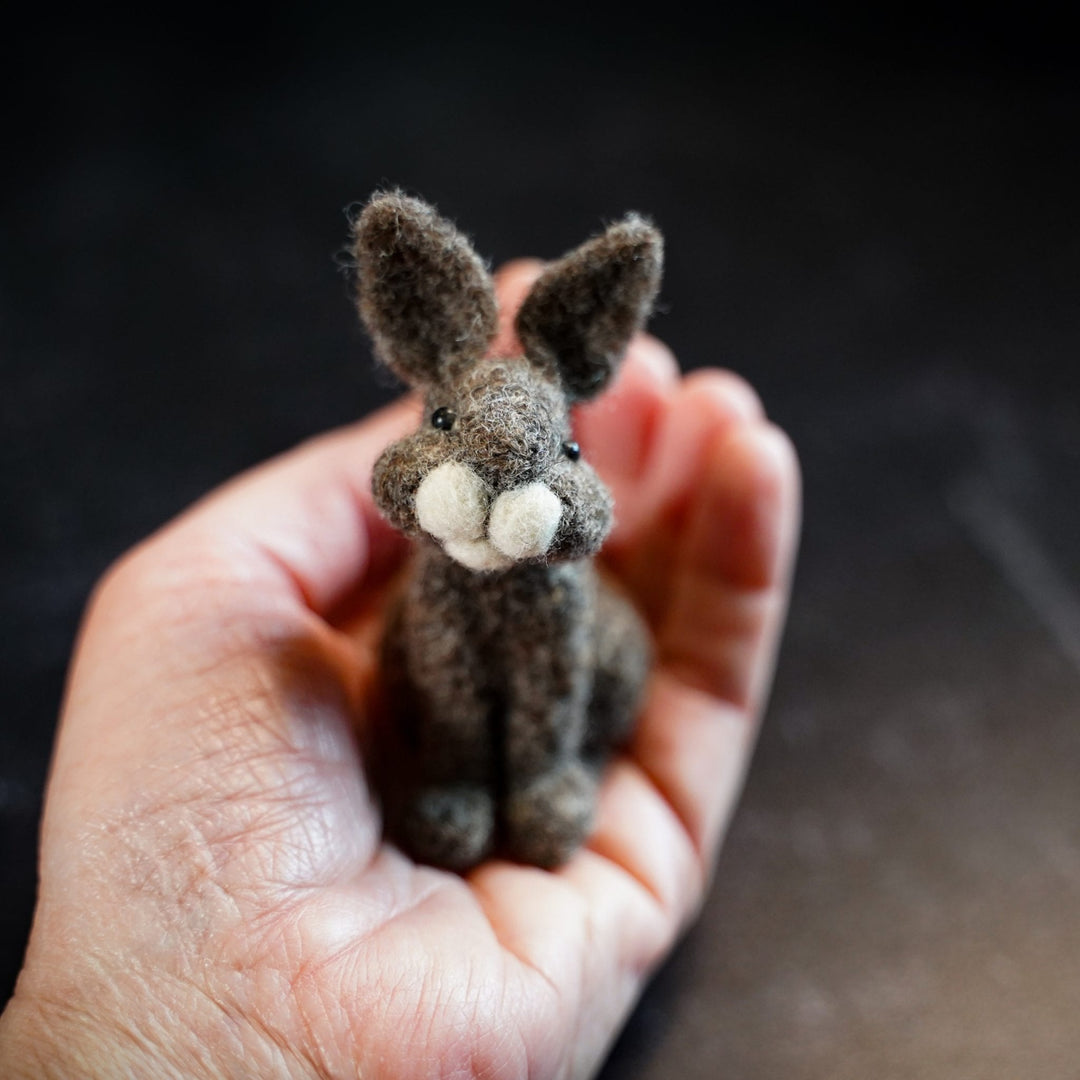 Bear Creek Felting - Felting Kits - Bunny