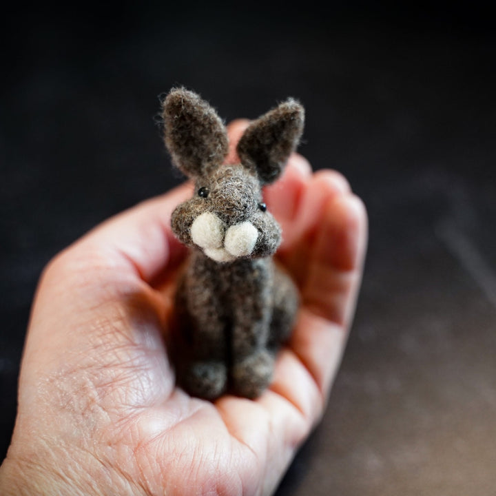Bear Creek Felting - Felting Kits - Bunny