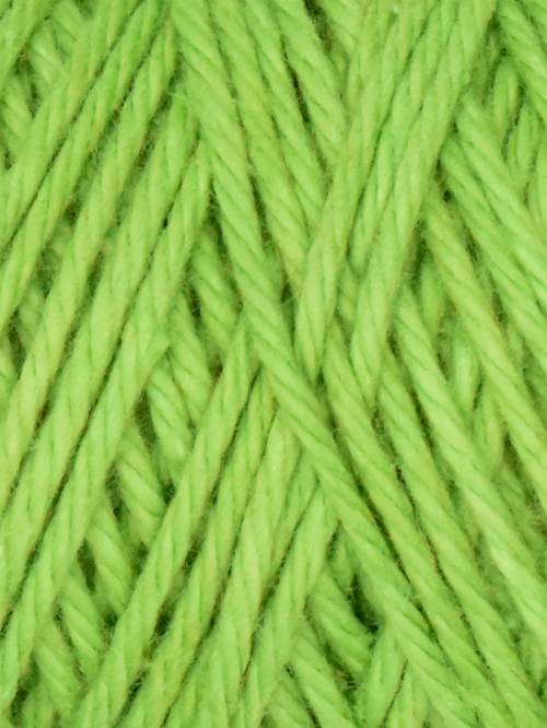 Coastal Cotton Yarn by Queensland