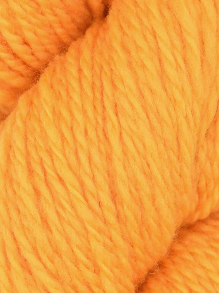 Elder Anatolian Merino Wool Yarn by Queensland
