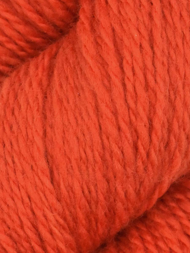 Elder Anatolian Merino Wool Yarn by Queensland