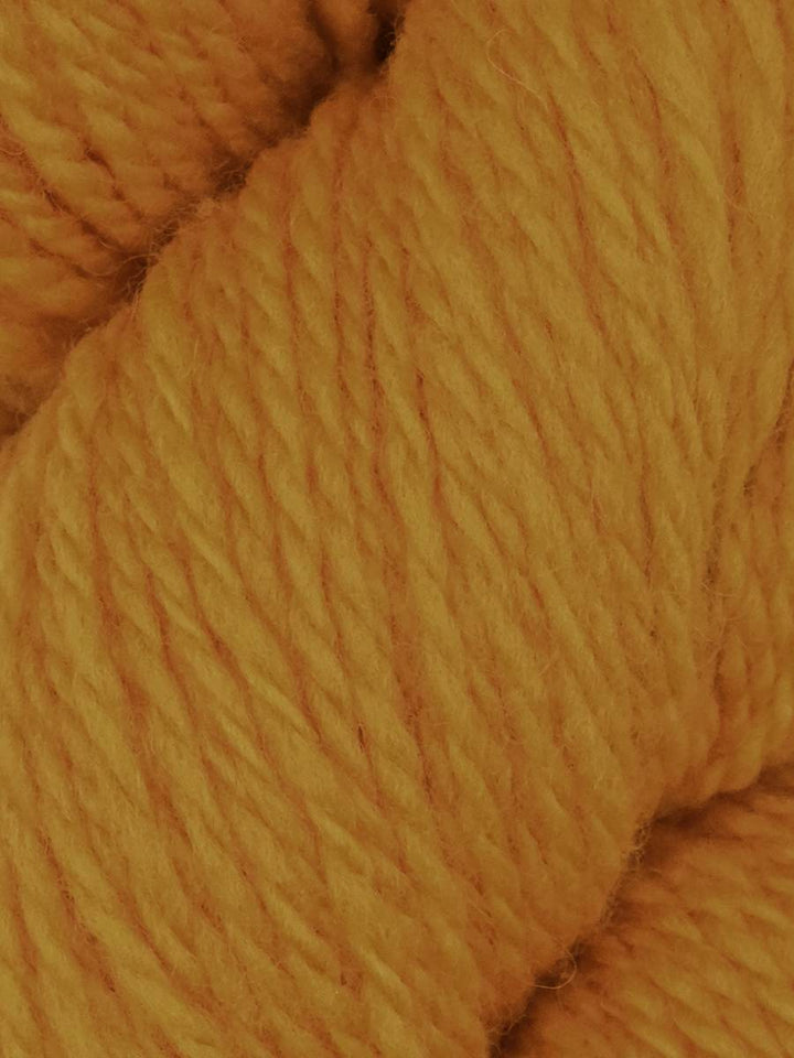 Elder Anatolian Merino Wool Yarn by Queensland