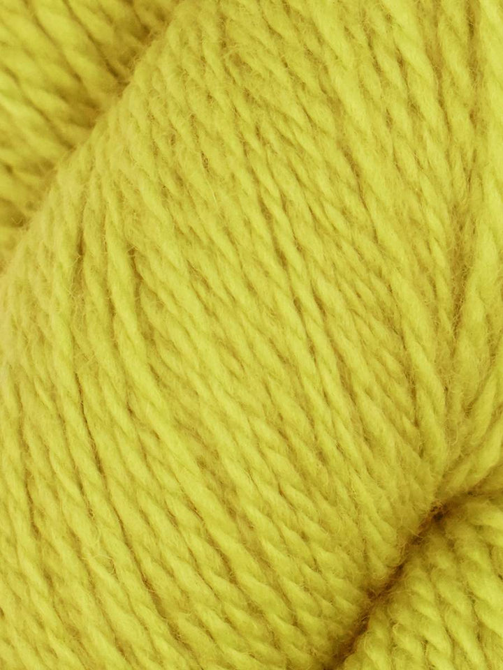 Elder Anatolian Merino Wool Yarn by Queensland