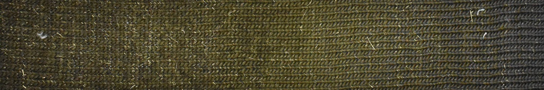 Poema Glitter Yarn by Laines du Nord