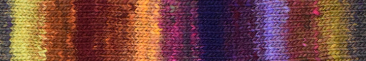 Saiun Yarn from Noro