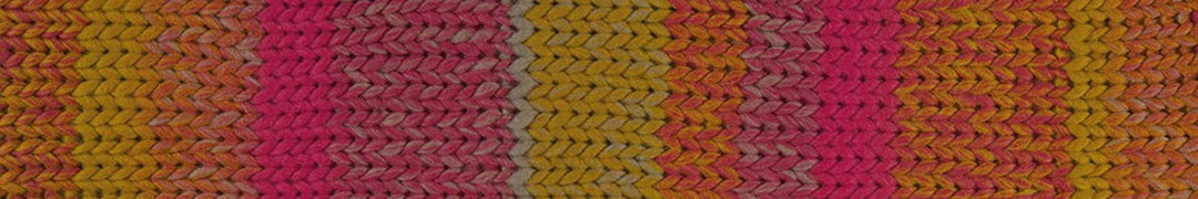 Young and Trendy 100% Wool Yarn by Laines du Nord
