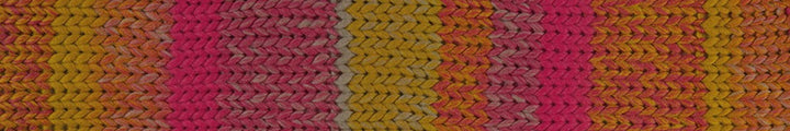 Young and Trendy 100% Wool Yarn by Laines du Nord