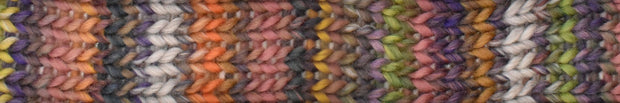 Young and Trendy 100% Wool Yarn by Laines du Nord