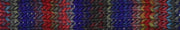 Young and Trendy 100% Wool Yarn by Laines du Nord