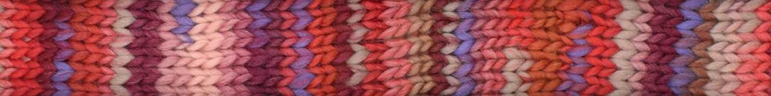 Young and Trendy 2026 100% Wool Yarn by Laines du Nord