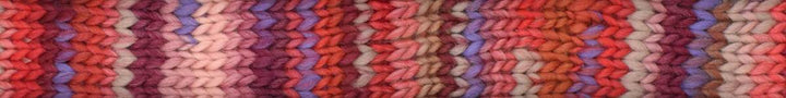 Young and Trendy 2026 100% Wool Yarn by Laines du Nord