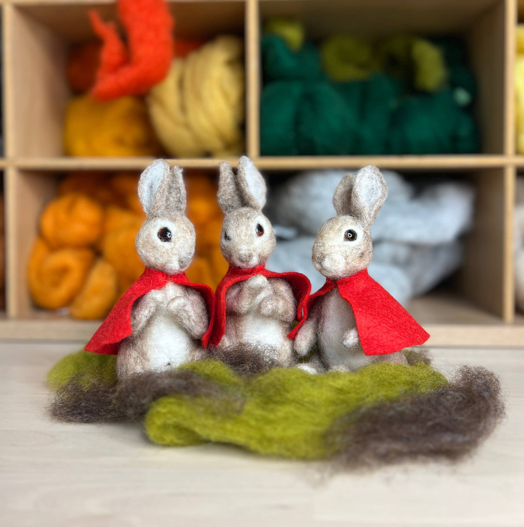 Beatrix Potter Flopsy Mopsy &amp; Cotton-tail Needle Felting Kit