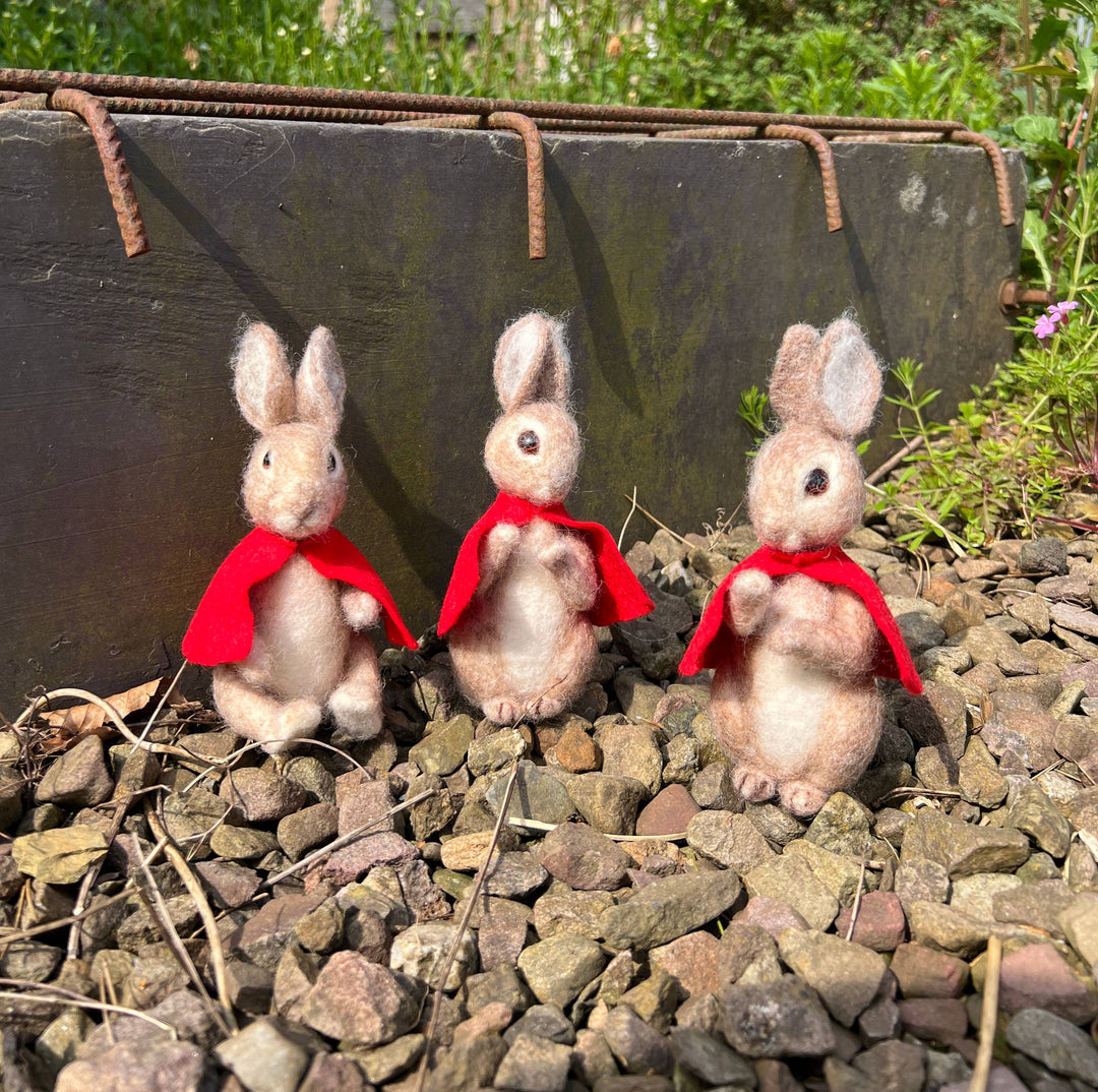 Beatrix Potter Flopsy Mopsy &amp; Cotton-tail Needle Felting Kit