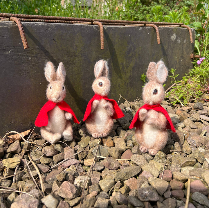 Beatrix Potter Flopsy Mopsy &amp; Cotton-tail Needle Felting Kit