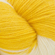 Heritage Tie Dye Yarn by Cascade