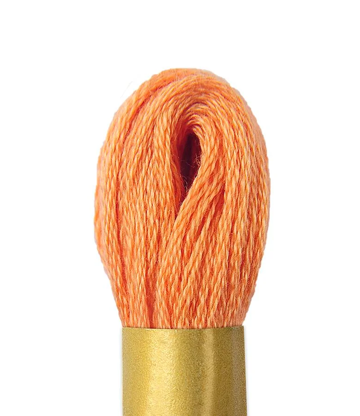 Maxi Mouline Embroidery Floss Color 838 by Circulo