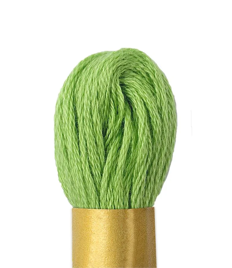 Maxi Mouline Embroidery Floss Color 717 by Circulo