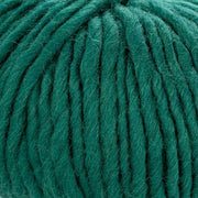 Young and Trendy Solids 100% Wool Yarn by Laines du Nord