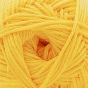 220 Superwash Merino Yarn by Cascade
