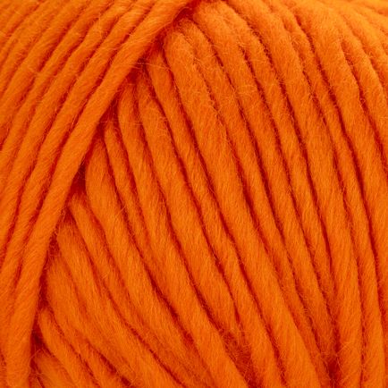 Young and Trendy Solids 100% Wool Yarn by Laines du Nord