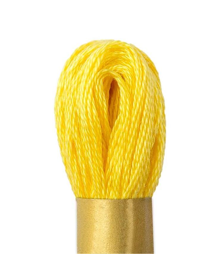 Maxi Mouline Embroidery Floss Color 146 by Circulo