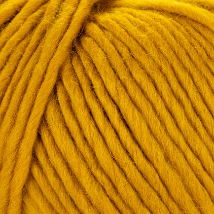 Young and Trendy Solids 100% Wool Yarn by Laines du Nord