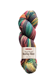 Lucky Feet Yarn from Circulo