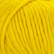 Young and Trendy Solids 100% Wool Yarn by Laines du Nord