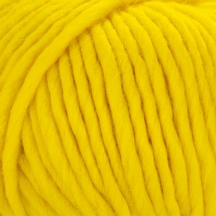 Young and Trendy Solids 100% Wool Yarn by Laines du Nord
