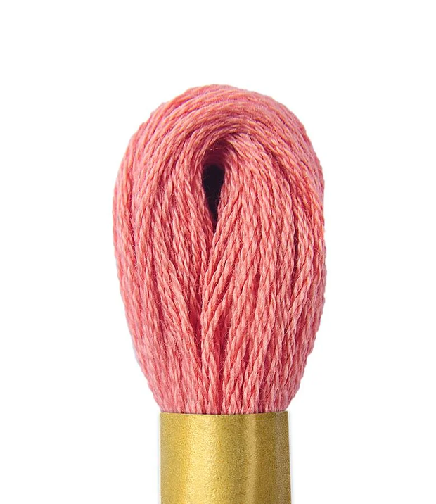 Maxi Mouline Embroidery Floss Color 257 by Circulo