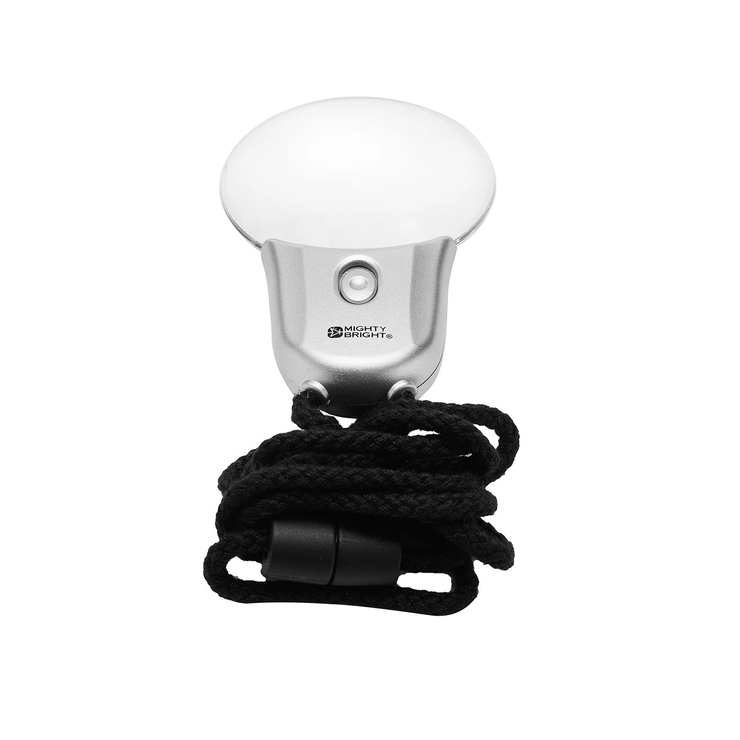 LED Magnified Pendant