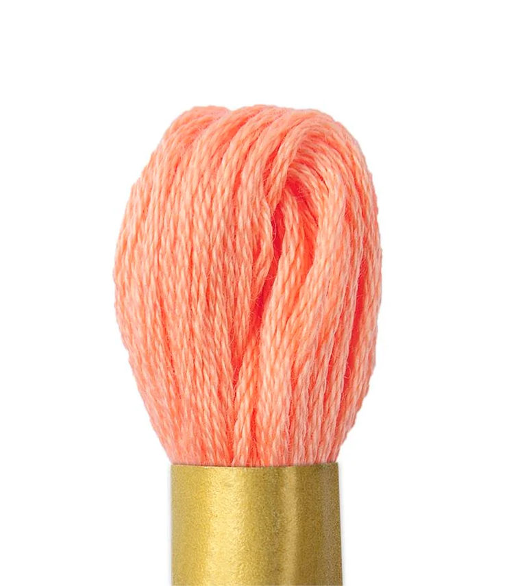 Maxi Mouline Embroidery Floss Color 211 by Circulo