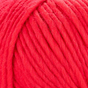 Young and Trendy Solids 100% Wool Yarn by Laines du Nord