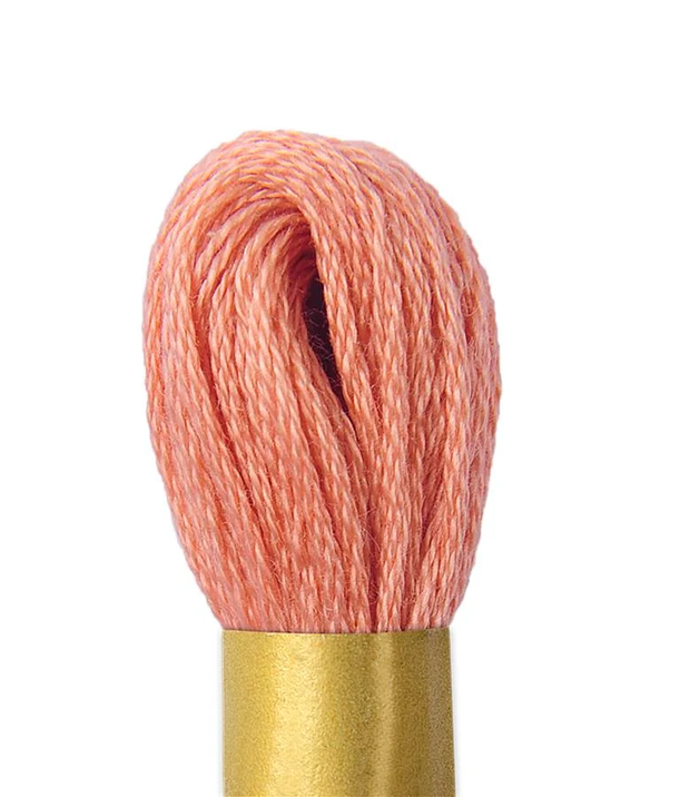 Maxi Mouline Embroidery Floss Color 259 by Circulo