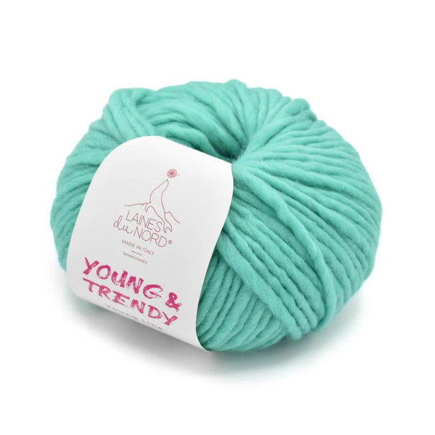 Young and Trendy Solids 100% Wool Yarn by Laines du Nord