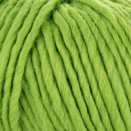 Young and Trendy Solids 100% Wool Yarn by Laines du Nord