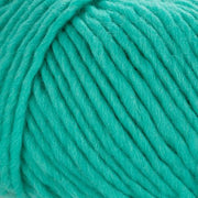 Young and Trendy Solids 100% Wool Yarn by Laines du Nord