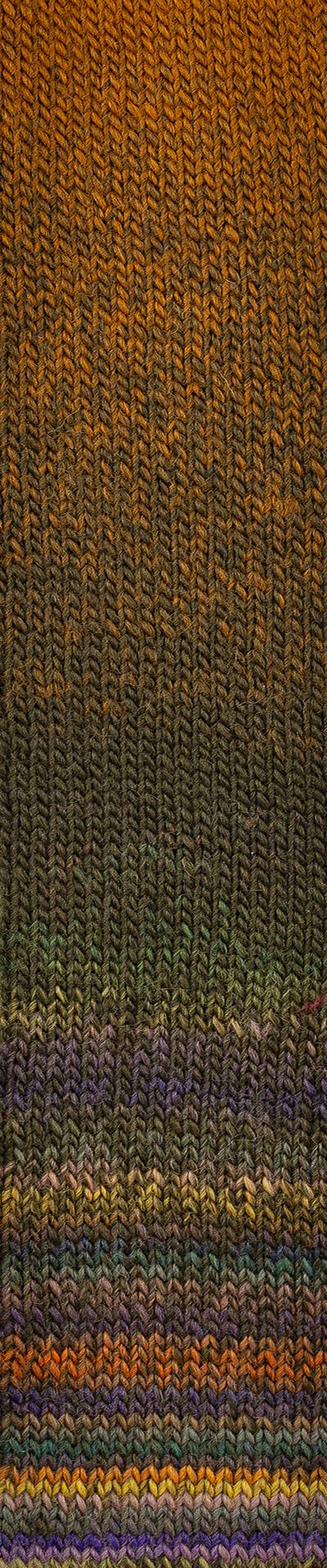 Poema Color Wool Yarn by Laines du Nord