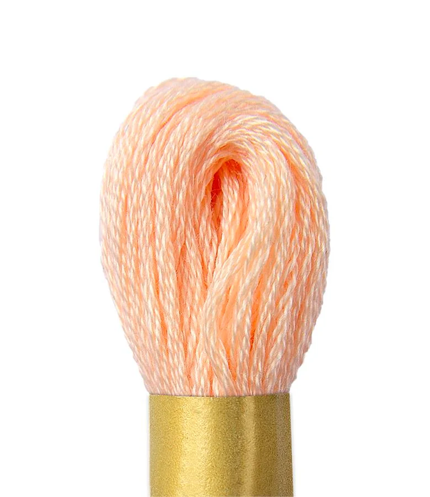 Maxi Mouline Embroidery Floss Color 205 by Circulo