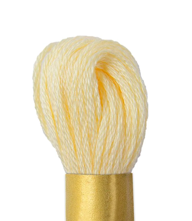 Maxi Mouline Embroidery Floss Color 109 by Circulo