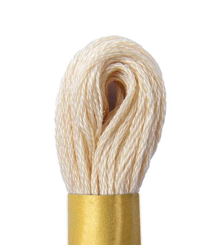 Maxi Mouline Embroidery Floss Color 888 by Circulo