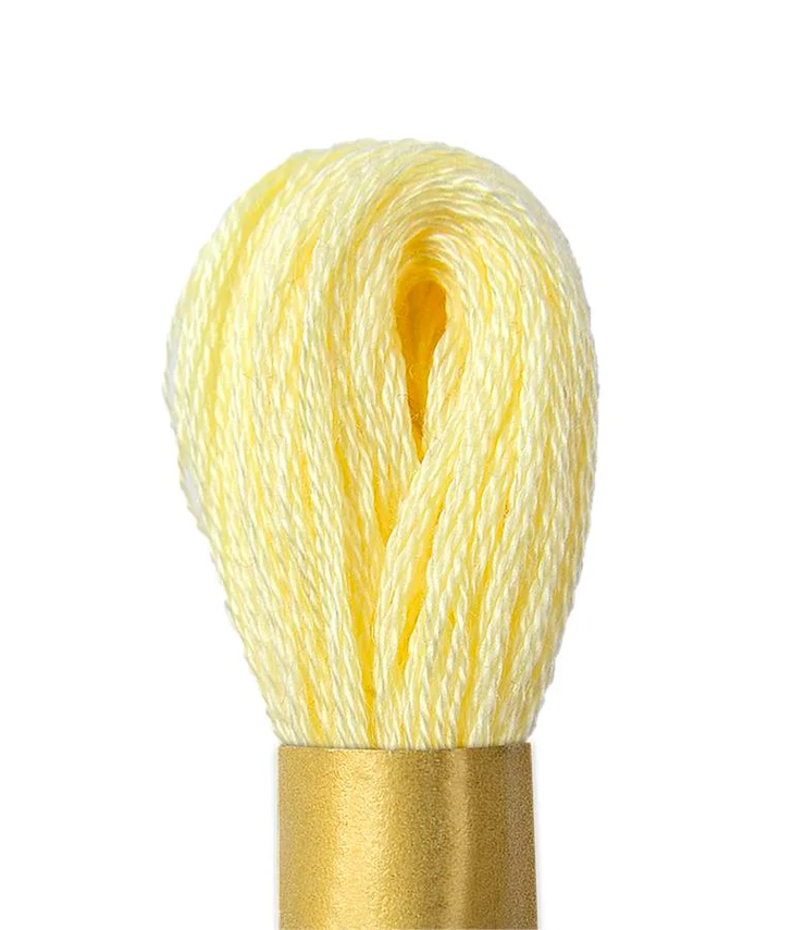 Maxi Mouline Embroidery Floss Color 141 by Circulo