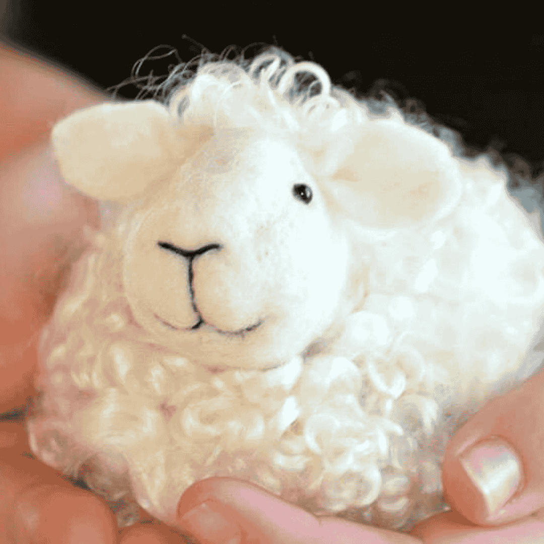 Bear Creek Felting - Felting Kits - White Sheep