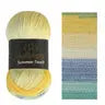 Wool Bee Summer Touch Batik Gradient Yarn